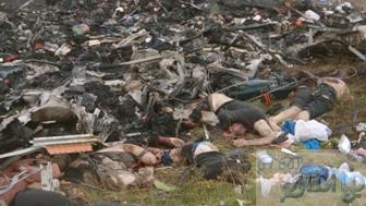 MH17 விமானம் வெடித்து சிதறி வீடியோ வெளியாகியுள்ளது