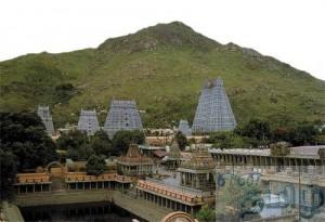 tiruvannamalai3