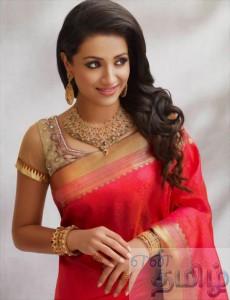 trisha-saree-stills261388394269