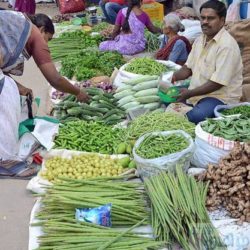 தமிழகத்தில் உற்பத்தியாகும் காய்கறிகளில் பூச்சி கொல்லி மருந்து