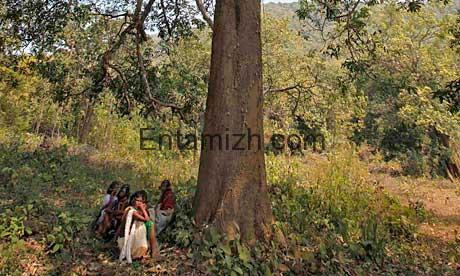 ஈராக் மலைப்பகுதியில் தஞ்சமடைந்துள்ள மக்களை காப்பாற்ற அமெரிக்கா நடவடிக்கை