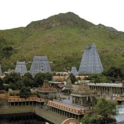 திருவண்ணாமலை கார்த்திகை தீபத்தை முன்னிட்டு 2182 பஸ்கள்